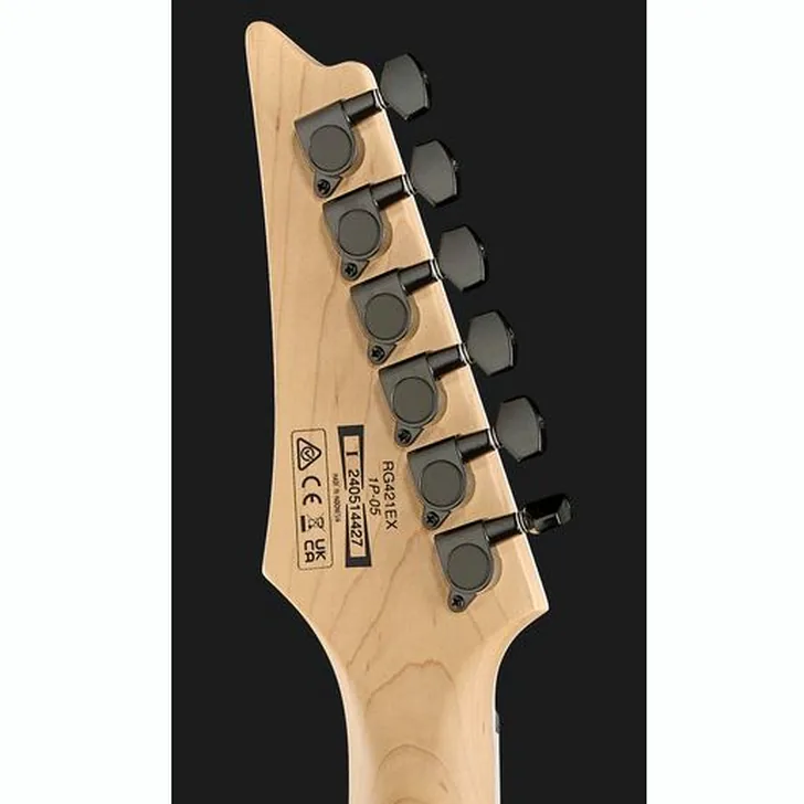 Elektrische gitaar review Ibanez RG421EX-BKF