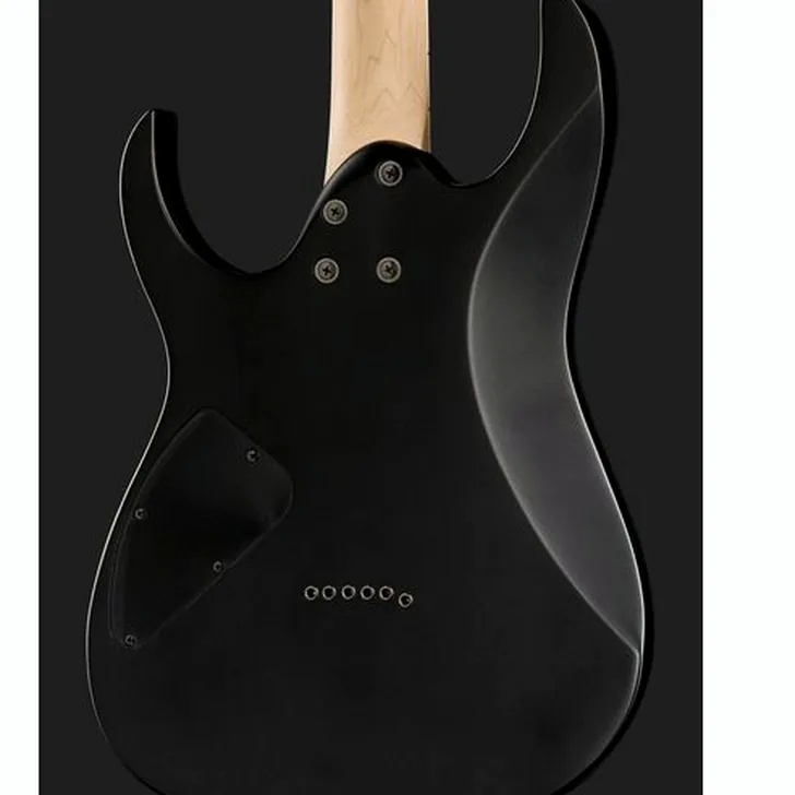 Elektrische gitaar review Ibanez RG421EX-BKF