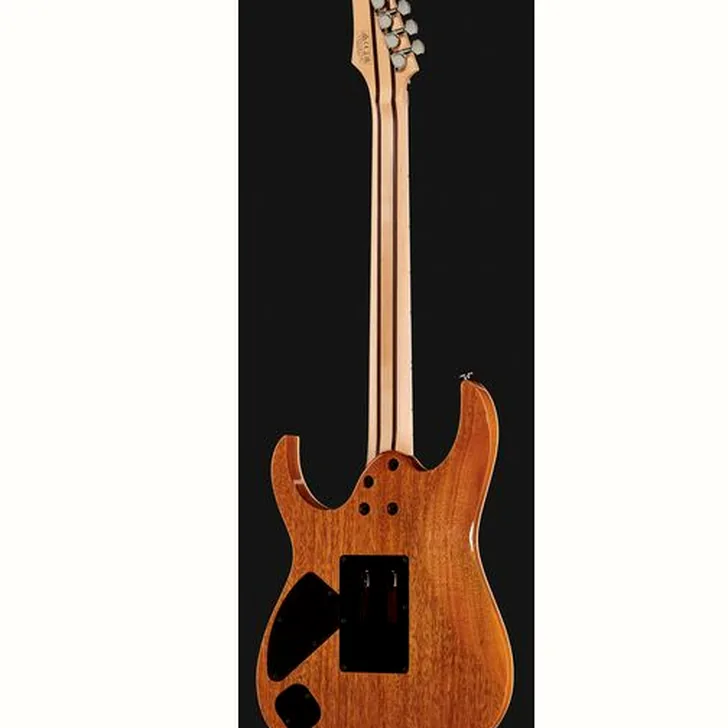 Elektrische gitaar review Ibanez RG5320C-PW