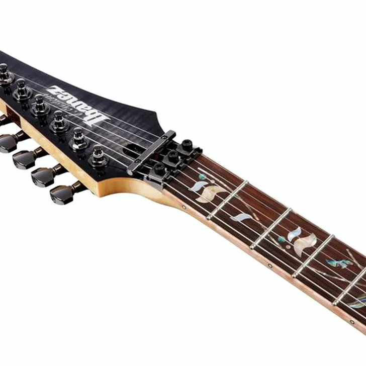 Elektrische gitaar review Ibanez RG8570-BRE