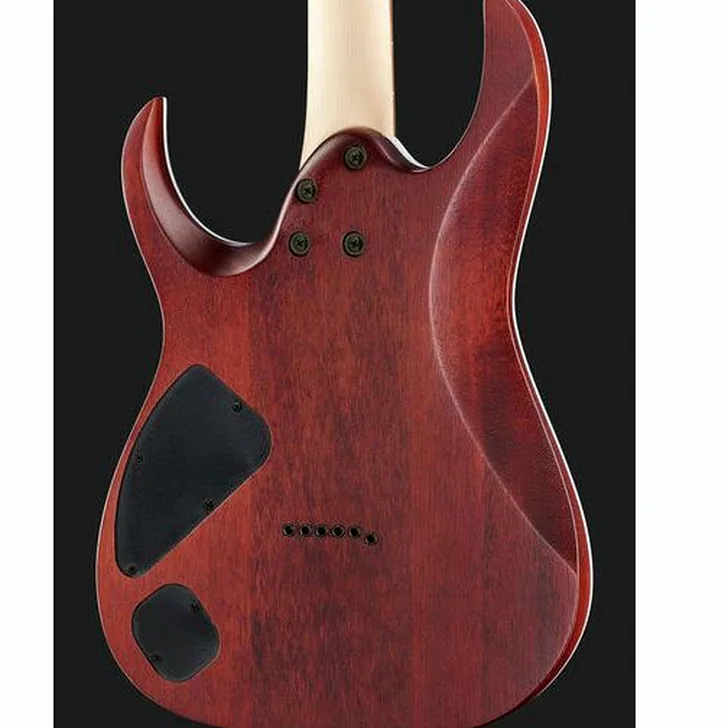 Elektrische gitaar review Ibanez RGA42FM-DEF