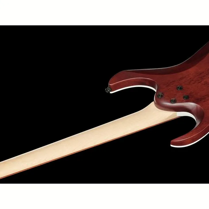 Elektrische gitaar review Ibanez RGA42FM-DEF
