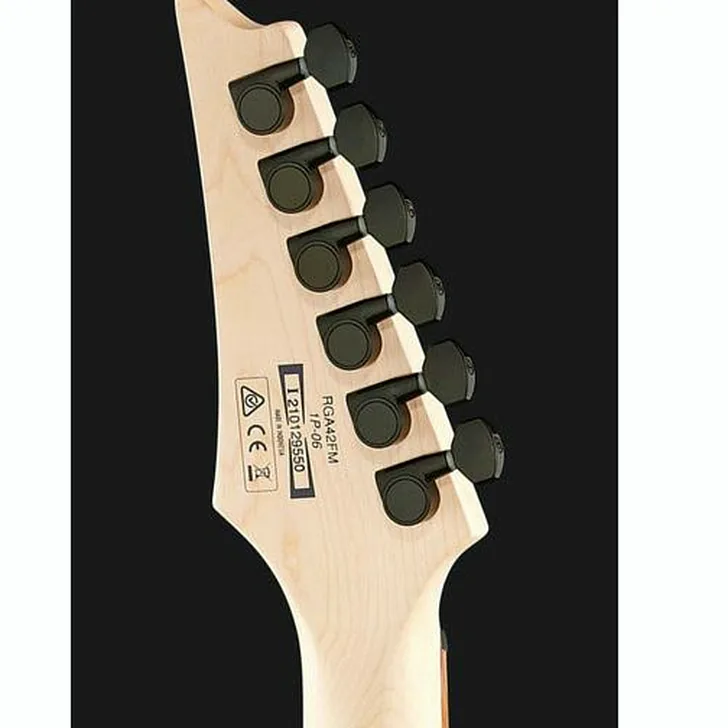 Elektrische gitaar review Ibanez RGA42FM-DEF