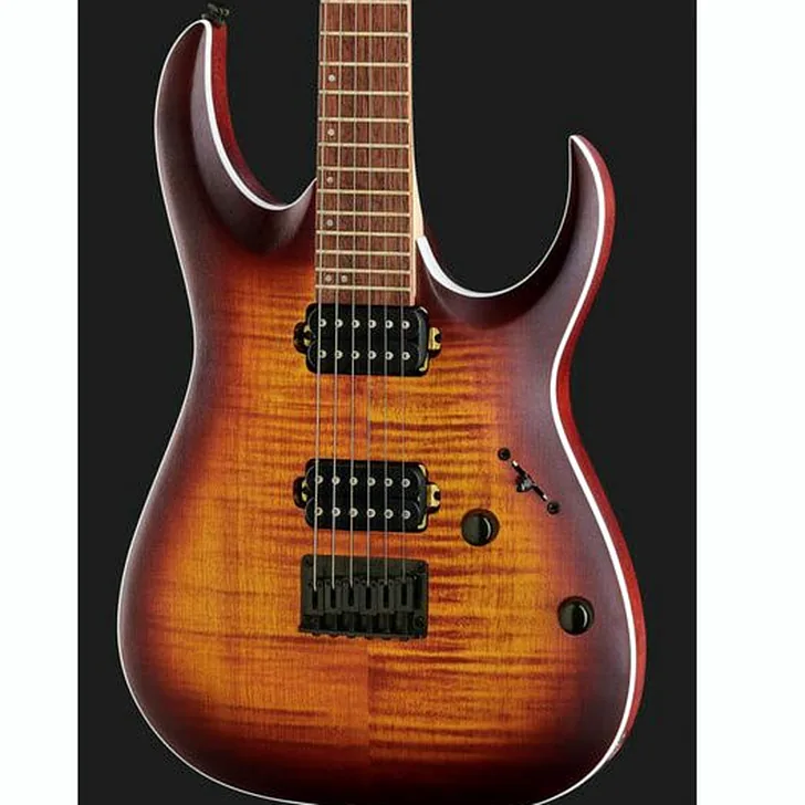 Elektrische gitaar review Ibanez RGA42FM-DEF