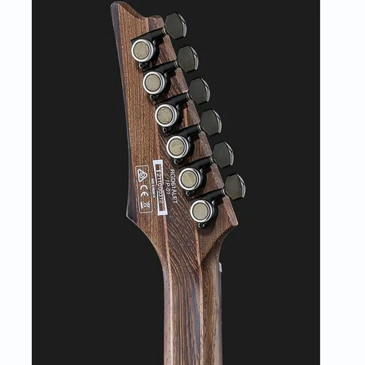 Elektrische gitaar review Ibanez RGD61ALET-MGM