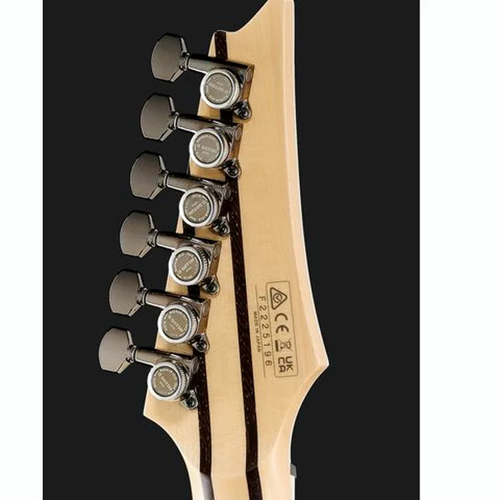 Elektrische gitaar review Ibanez RGR5221-TFR Prestige
