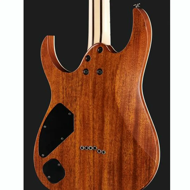 Elektrische gitaar review Ibanez RGR5221-TFR Prestige