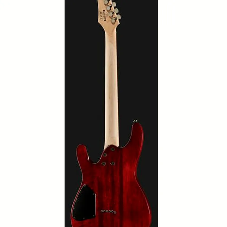 Elektrische gitaar review Ibanez S521-BBS