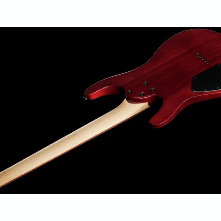 Elektrische gitaar review Ibanez S521-BBS