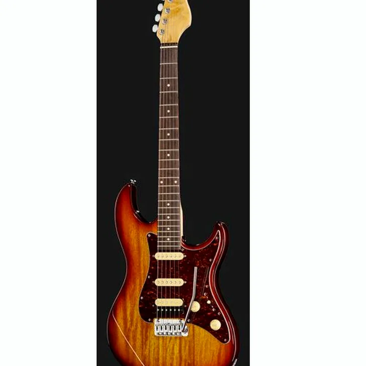Elektrische gitaar review Larry Carlton S3 TS