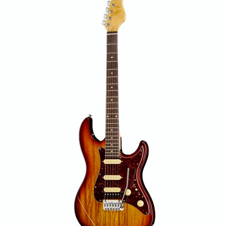 Elektrische gitaar review Larry Carlton S3 TS