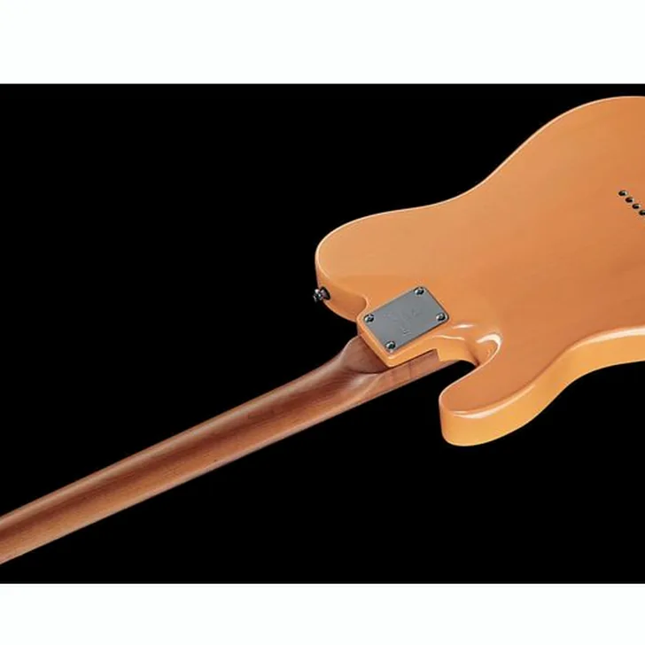 Elektrische gitaar review Larry Carlton T7 BB