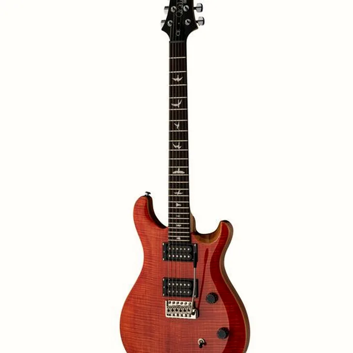 Elektrische gitaar review PRS SE CE 24 BR