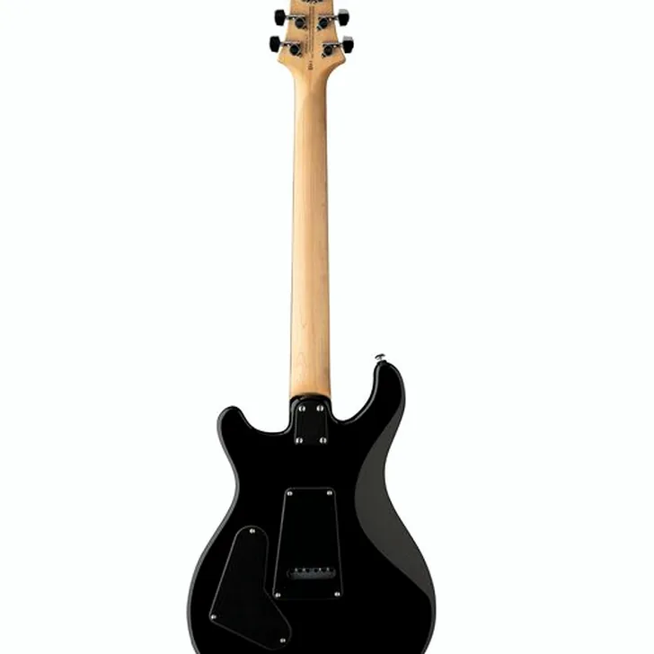 Elektrische gitaar review PRS SE CE 24 BU