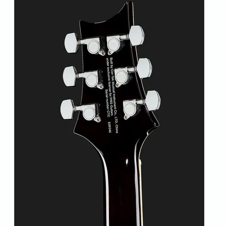 Elektrische gitaar review PRS SE Hollowbody II Piezo BG