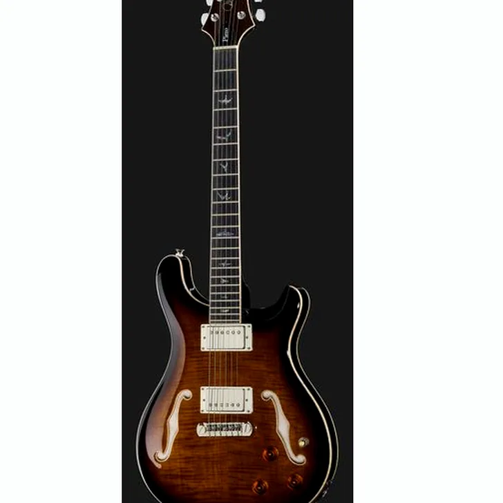 Elektrische gitaar review PRS SE Hollowbody II Piezo BG
