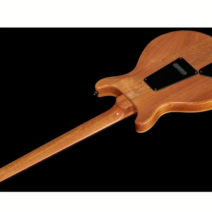Elektrische gitaar review PRS SE Santana SY