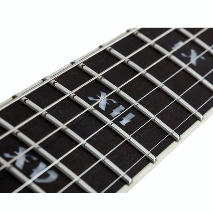 Elektrische gitaar review Schecter C-1 SLS Evil Twin Satin Black