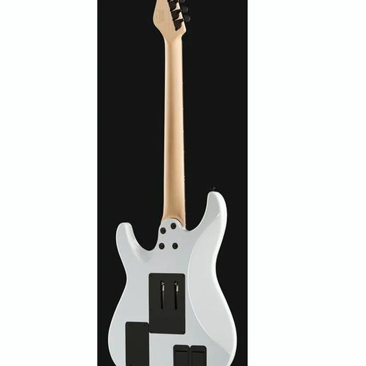 Elektrische gitaar review Schecter Sun Valley Super Shredder FRS