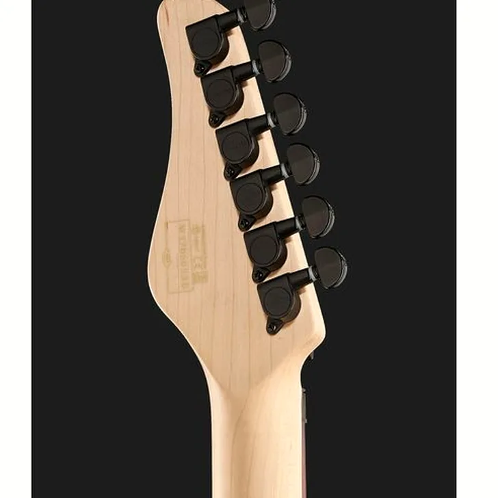 Elektrische gitaar review Schecter Sun Valley Super Shredder FRS