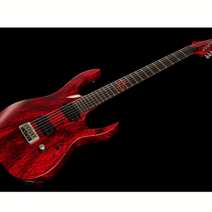 Elektrische gitaar review Solar Guitars A2.6Canibalismo+
