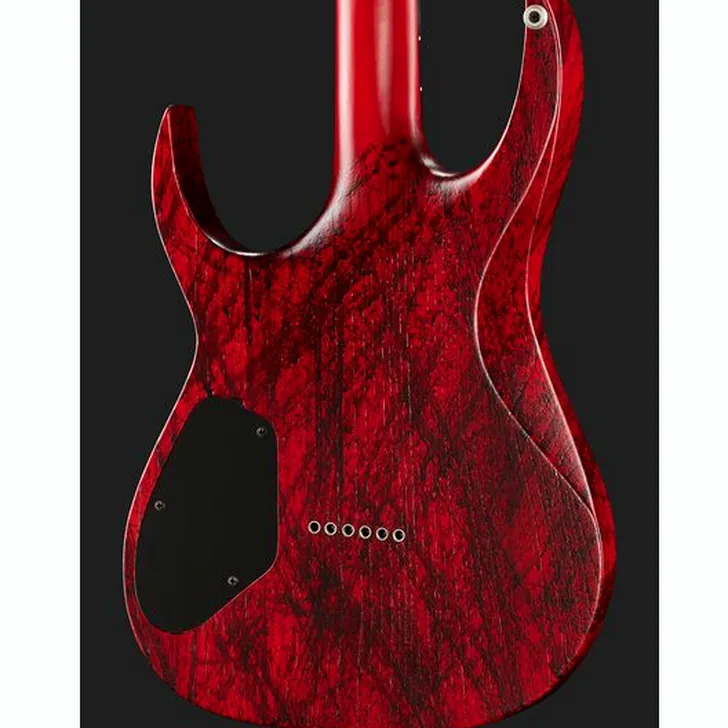 Elektrische gitaar review Solar Guitars A2.6Canibalismo+