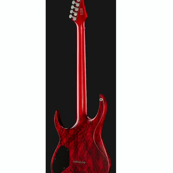 Elektrische gitaar review Solar Guitars A2.6Canibalismo+