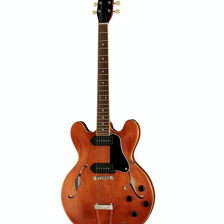 Elektrische gitaar review Stanford CR Thinline 30 VB