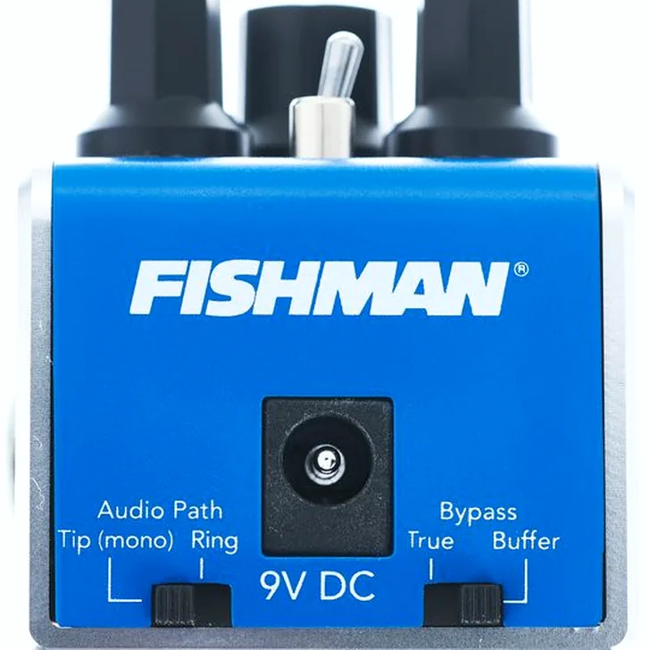 Fishman AFX BlueChorus Mini Chorus Test: De belangrijkste feiten op een rij
