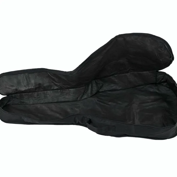Harley Benton C-Guitar 3/4 Accessory Pack Gebruikerservaringen en diepgaande test