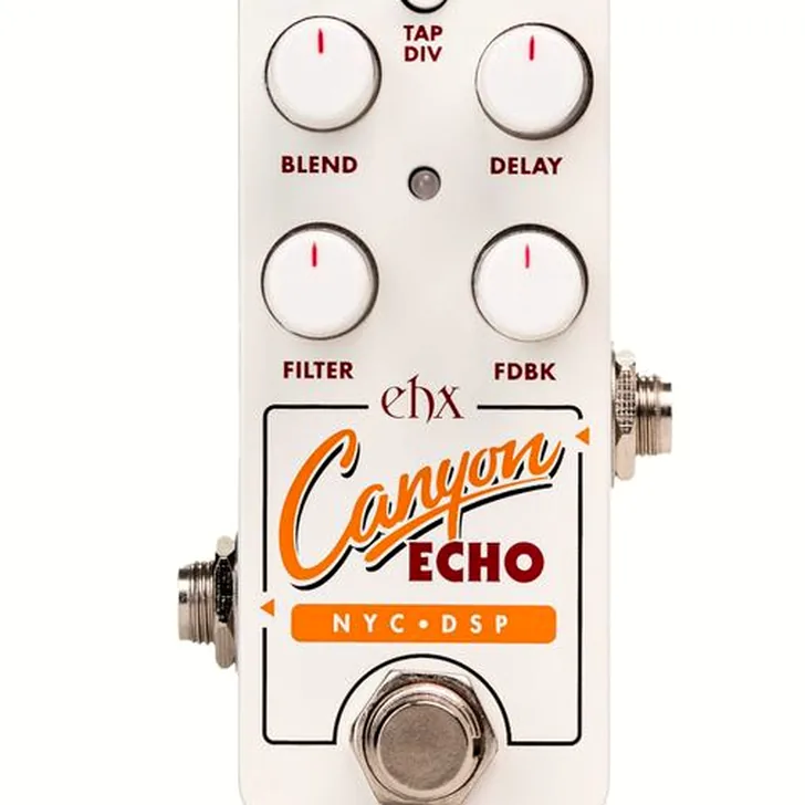 Hoe presteert de Electro Harmonix Pico Canyon Echo Digital Delay in de studio? (Review)