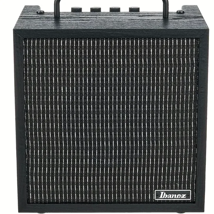 Ibanez IBZ10GV2 Review: Onze Favoriet van het Jaar