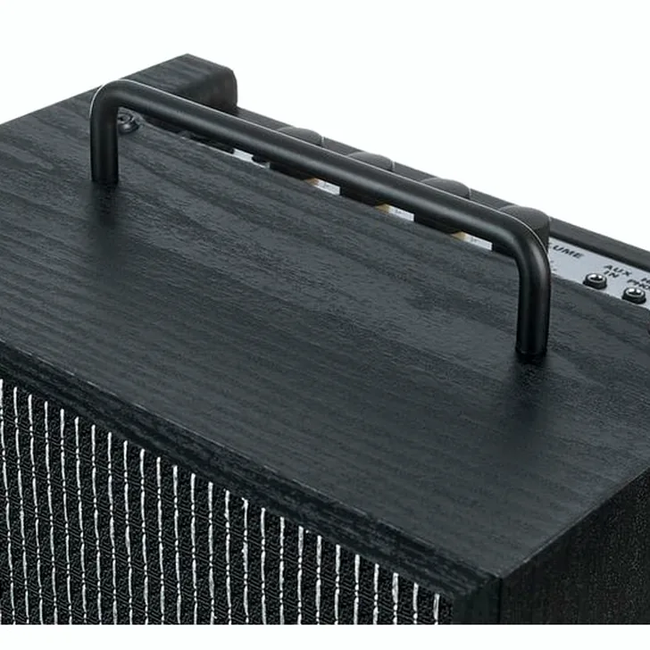 Ibanez IBZ10GV2 Review: Onze Favoriet van het Jaar