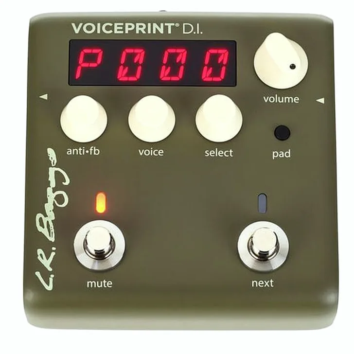 L.R.Baggs Voiceprint DI Test: Wat zijn de echte ervaringen?