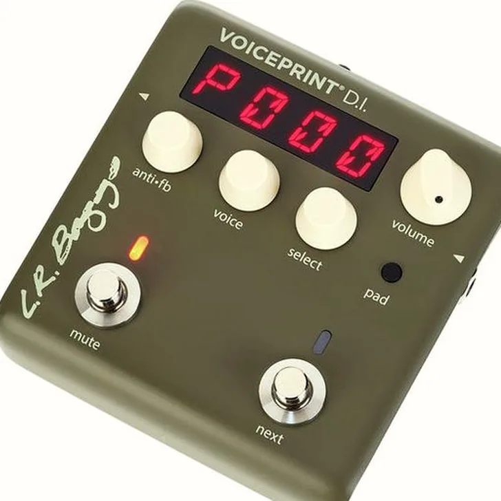 L.R.Baggs Voiceprint DI Test: Wat zijn de echte ervaringen?