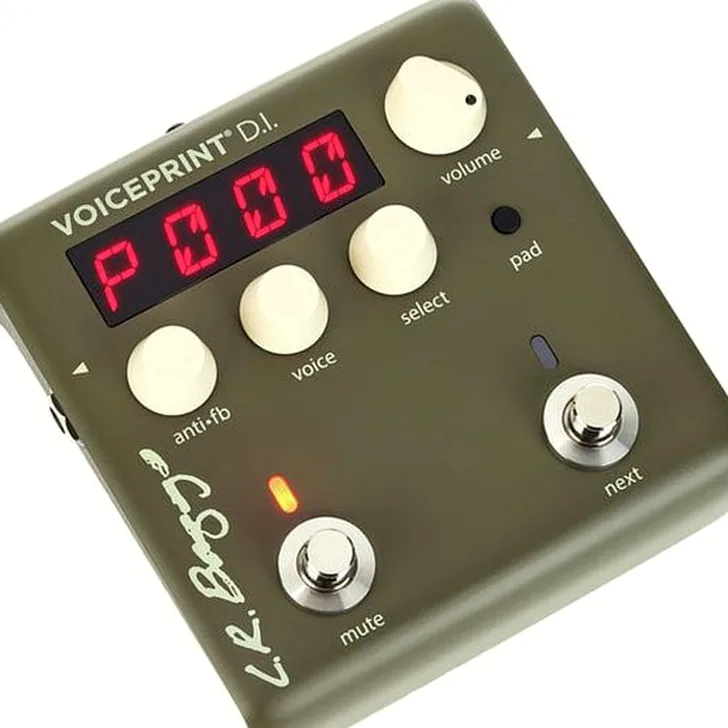 L.R.Baggs Voiceprint DI Test: Wat zijn de echte ervaringen?