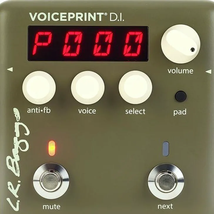 L.R.Baggs Voiceprint DI Test: Wat zijn de echte ervaringen?