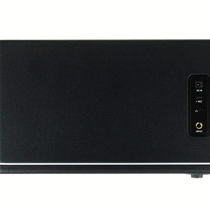 Mooer Hornet 30i Modeling Amp Black Review: Een Slimme Investering?