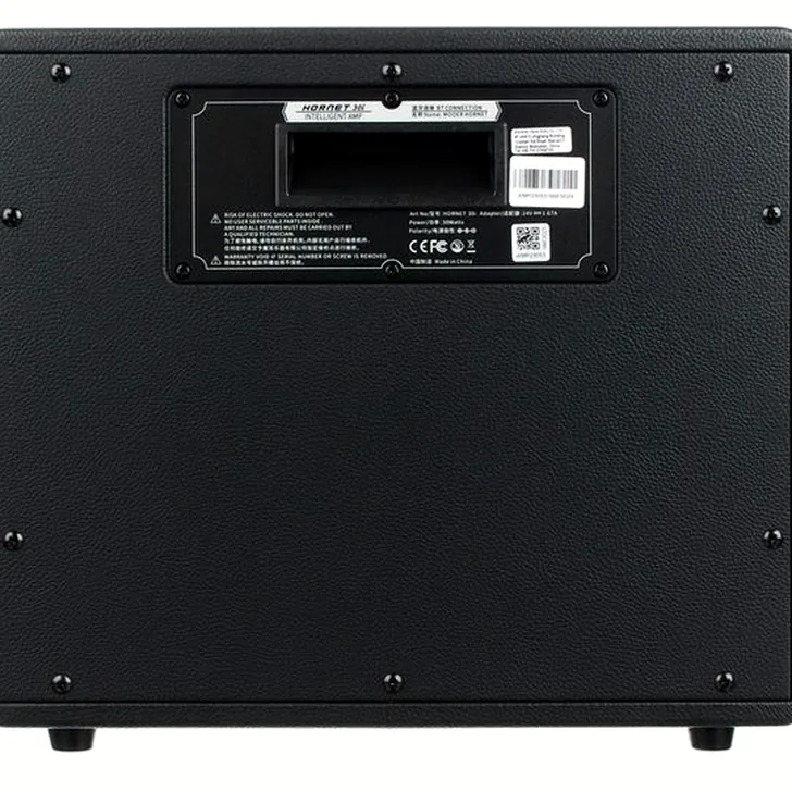 Mooer Hornet 30i Modeling Amp Black Review: Een Slimme Investering?