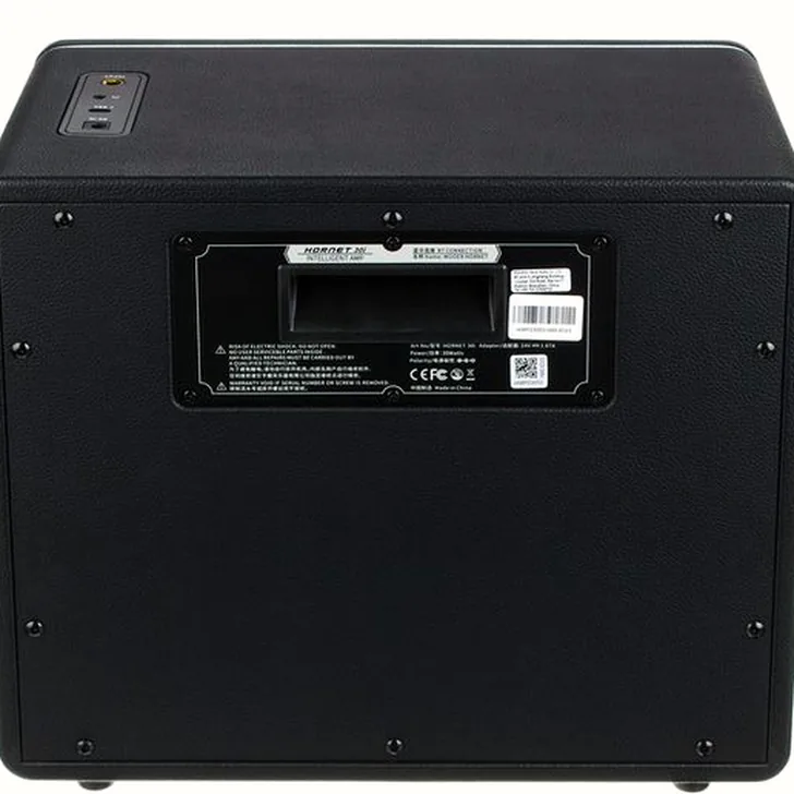 Mooer Hornet 30i Modeling Amp Black Review: Een Slimme Investering?