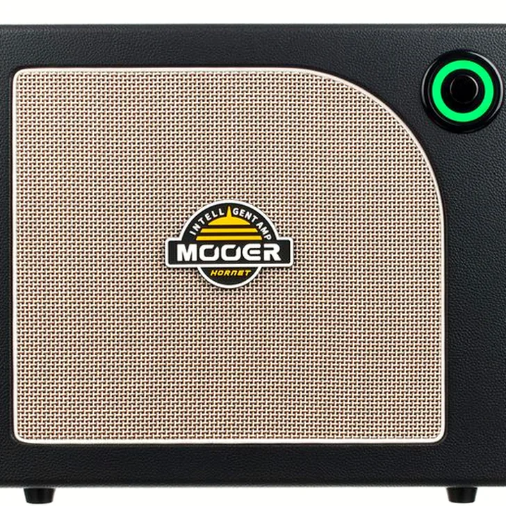 Mooer Hornet 30i Modeling Amp Black Review: Een Slimme Investering?