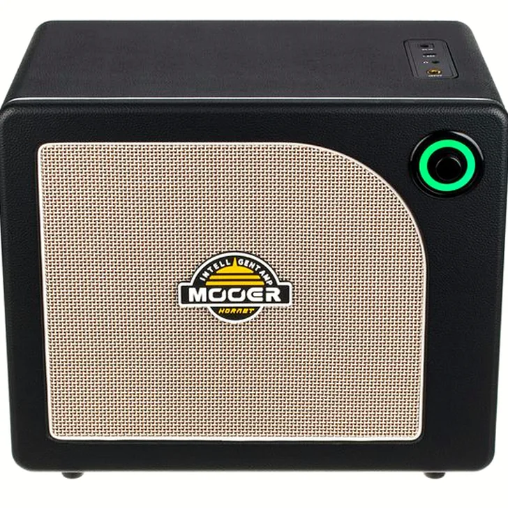 Mooer Hornet 30i Modeling Amp Black Review: Een Slimme Investering?