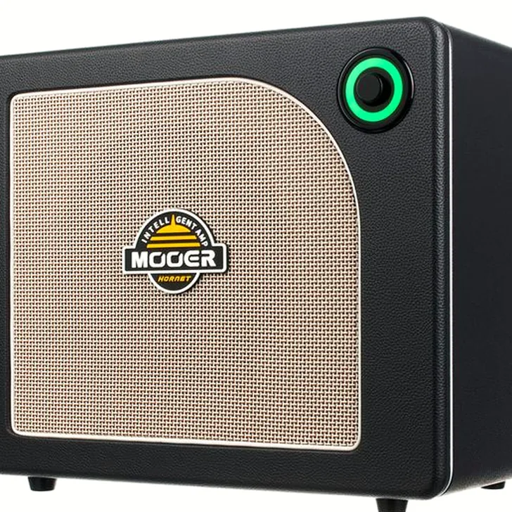 Mooer Hornet 30i Modeling Amp Black Review: Een Slimme Investering?