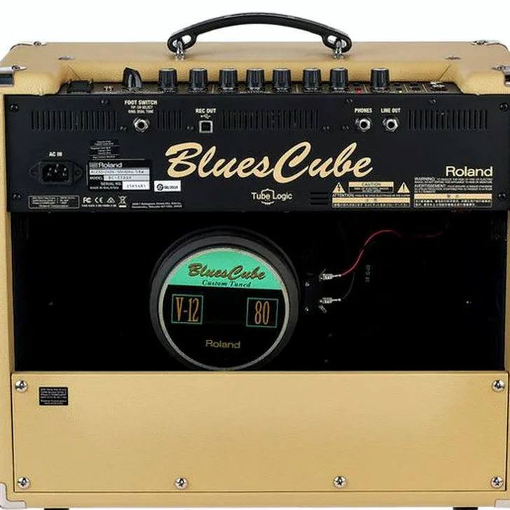 Roland Blues Cube Stage Review: Een Must-Have voor Gitaristen?