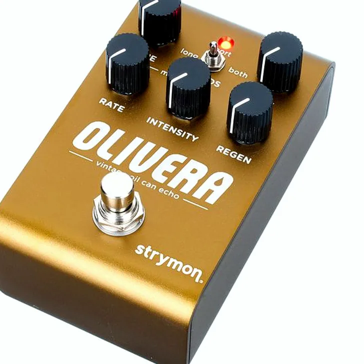 Strymon Olivera Delay Ervaringen: Wat zeggen de experts?