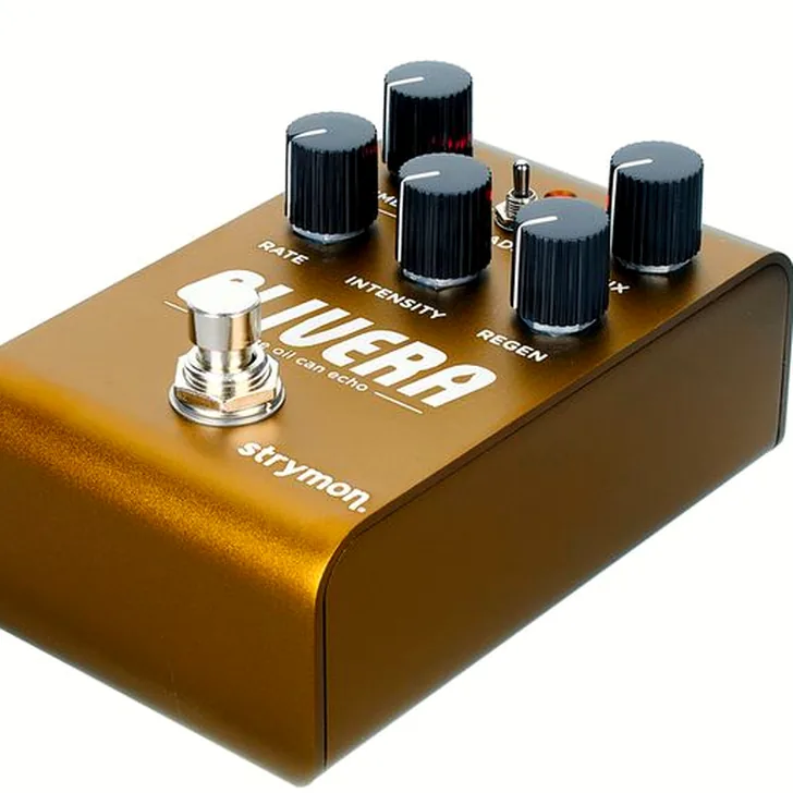 Strymon Olivera Delay Ervaringen: Wat zeggen de experts?