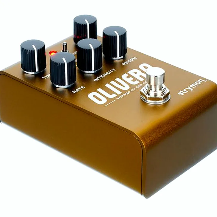 Strymon Olivera Delay Ervaringen: Wat zeggen de experts?