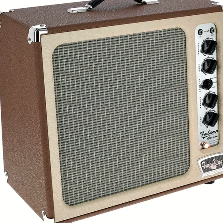 Tone King Falcon Grande BR Review: Betaalbare Kwaliteit of Goedkoop?