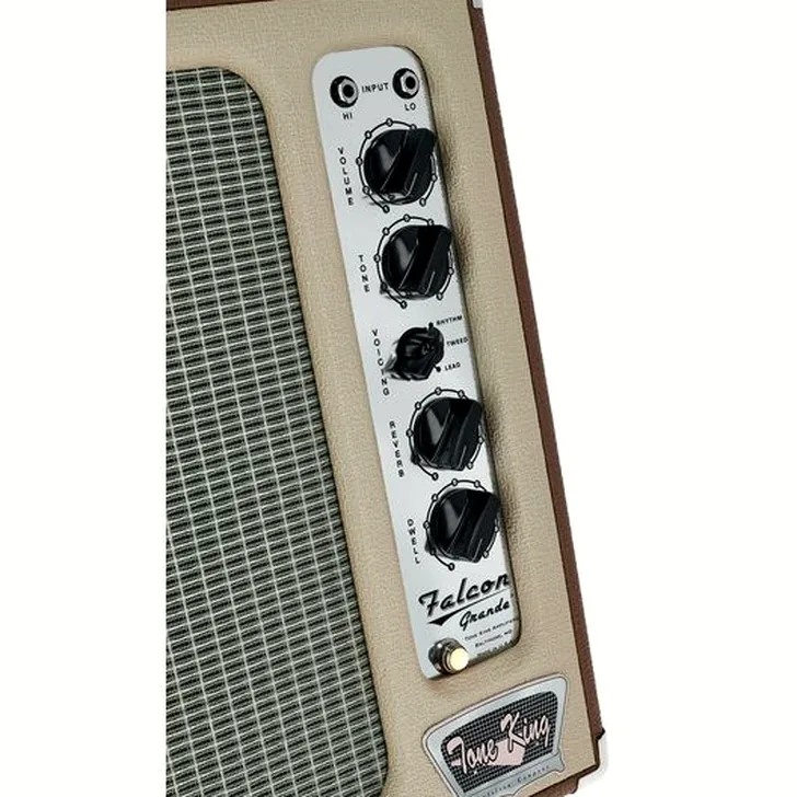 Tone King Falcon Grande BR Review: Betaalbare Kwaliteit of Goedkoop?